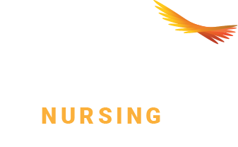 HLM Nursing College logo